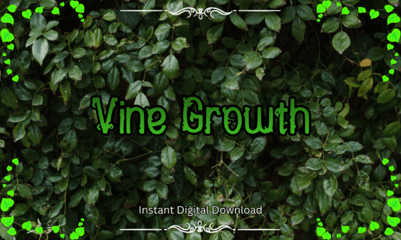 Vine Growth Font